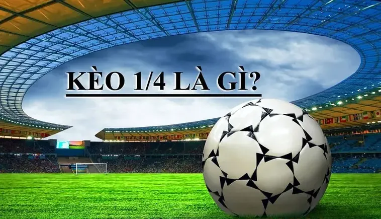 Cách Chơi Kèo Chấp 0.25 Hiểu Rõ Tỷ Lệ Thắng Thua Và Cách Tính Chuẩn Xác