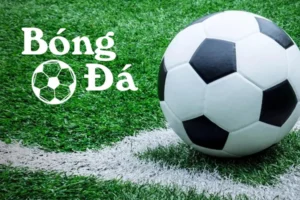 Phân Biệt Rõ Bóng Trong Cuộc Và Bóng Ngoài Cuộc Trong Luật Bóng Đá Hiện Nay