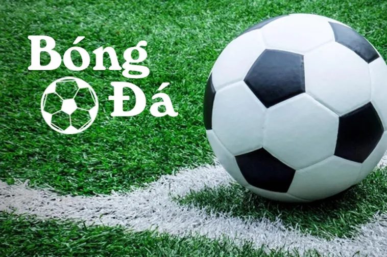 Phân Biệt Rõ Bóng Trong Cuộc Và Bóng Ngoài Cuộc Trong Luật Bóng Đá Hiện Nay