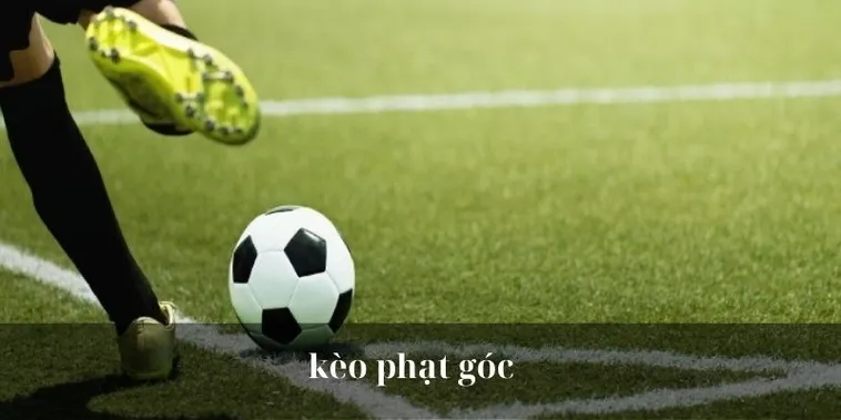 Cách Chơi Kèo Phạt Góc Bóng Đá Chi Tiết Cho Người Mới Bắt Đầu Hiểu Nhanh