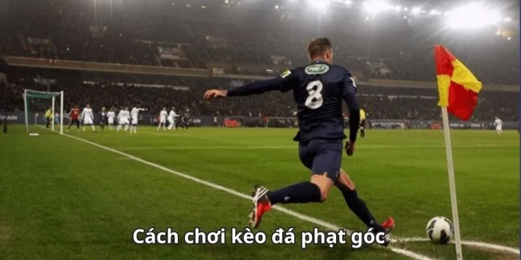 Cách Chơi Kèo Phạt Góc Bóng Đá Chi Tiết Cho Người Mới Bắt Đầu Hiểu Nhanh