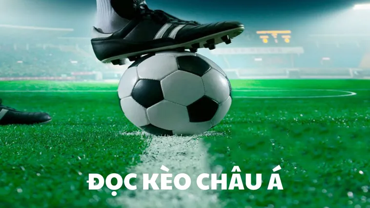 Cách Chơi Kèo Châu Á Hiệu Quả Và Chính Xác Cho Người Mới Bắt Đầu