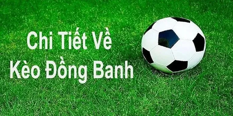 Cách Chơi Kèo Đồng Banh Chi Tiết Và Nguyên Tắc Thắng Cho Người Mới Bắt Đầu