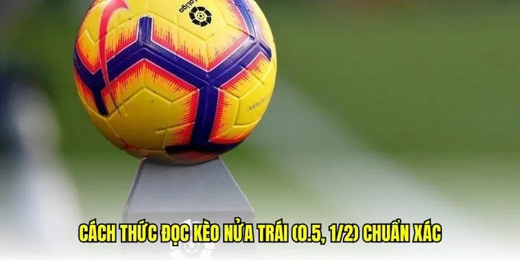 Cách Chơi Kèo Chấp 0.5 Chi Tiết Và Bí Quyết Giúp Tăng Tỷ Lệ Thắng Ổn Định