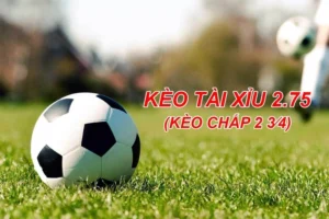 Cách Chơi Kèo 2.75 Hiểu Rõ Tỷ Lệ Thắng Thua Và Phân Tích Kết Quả Chuẩn Xác