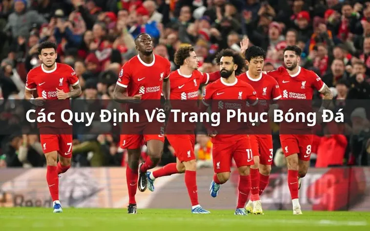 Quy Định Về Trang Phục Bóng Đá Theo Tiêu Chuẩn Thi Đấu Chuyên Nghiệp Hiện Nay