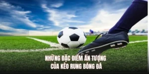 Hướng Dẫn Cách Chơi Kèo Rung Trong Bóng Đá Hiệu Quả Và Chính Xác Nhất