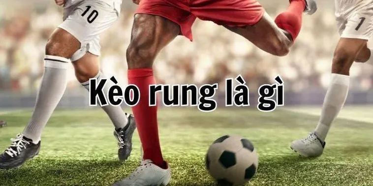 Hướng Dẫn Cách Chơi Kèo Rung Trong Bóng Đá Hiệu Quả Và Chính Xác Nhất