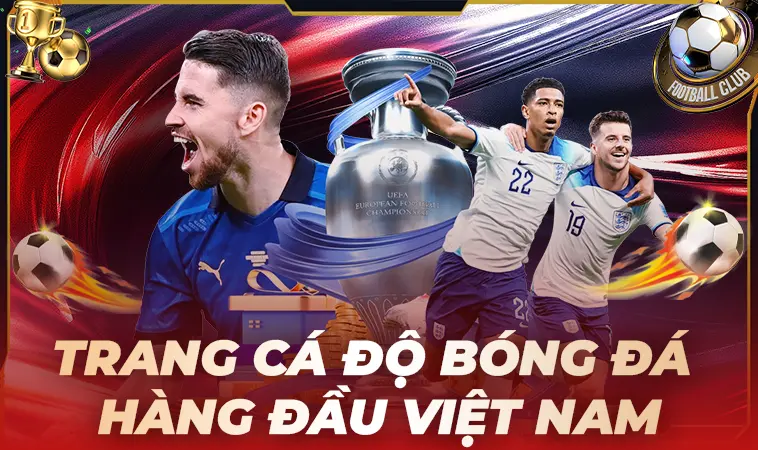 Top Trang Cá Độ Bóng Đá Uy Tín: Đánh Giá Chi Tiết Từ Cao Thủ