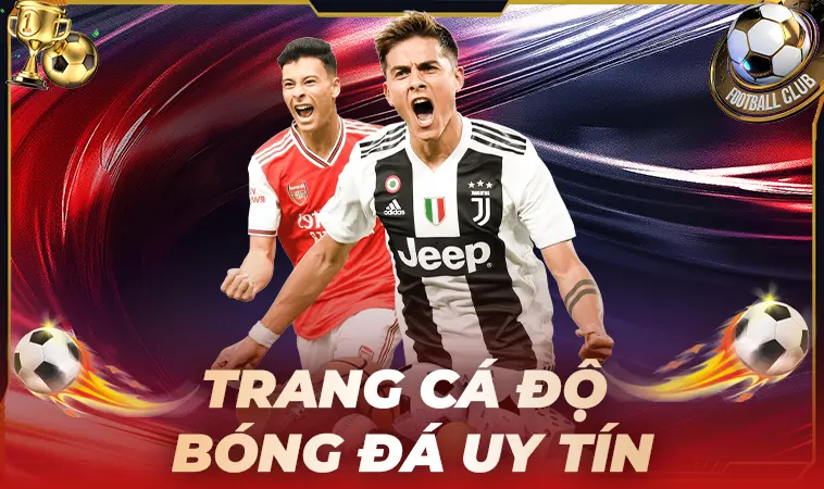 Top Trang Cá Độ Bóng Đá Uy Tín: Đánh Giá Chi Tiết Từ Cao Thủ