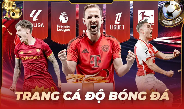 Top Trang Cá Độ Bóng Đá Uy Tín: Đánh Giá Chi Tiết Từ Cao Thủ